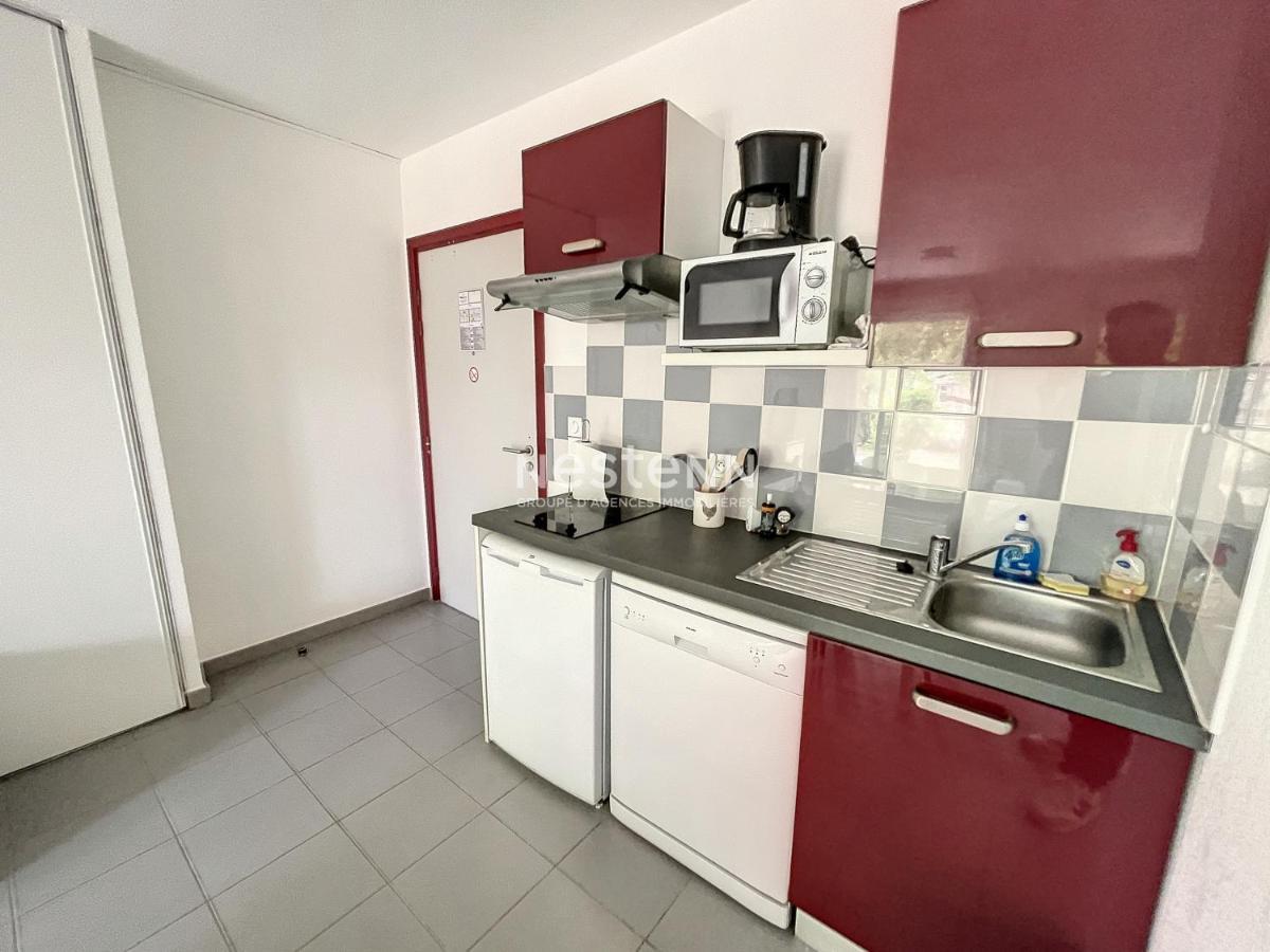 2950-Appartement Une Chambre Avec Piscine Argelès-sur-Mer Eksteriør billede